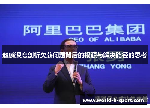 赵鹏深度剖析欠薪问题背后的根源与解决路径的思考