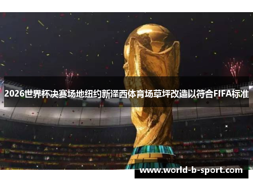 2026世界杯决赛场地纽约新泽西体育场草坪改造以符合FIFA标准 2026世界杯决赛场地纽约新泽西体育场草坪改造以符合FIFA标准