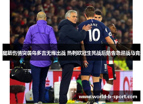 腿筋伤情突袭乌多吉无缘出战 热刺欧冠生死战后防告急迎战马竞 腿筋伤情突袭乌多吉无缘出战 热刺欧冠生死战后防告急迎战马竞